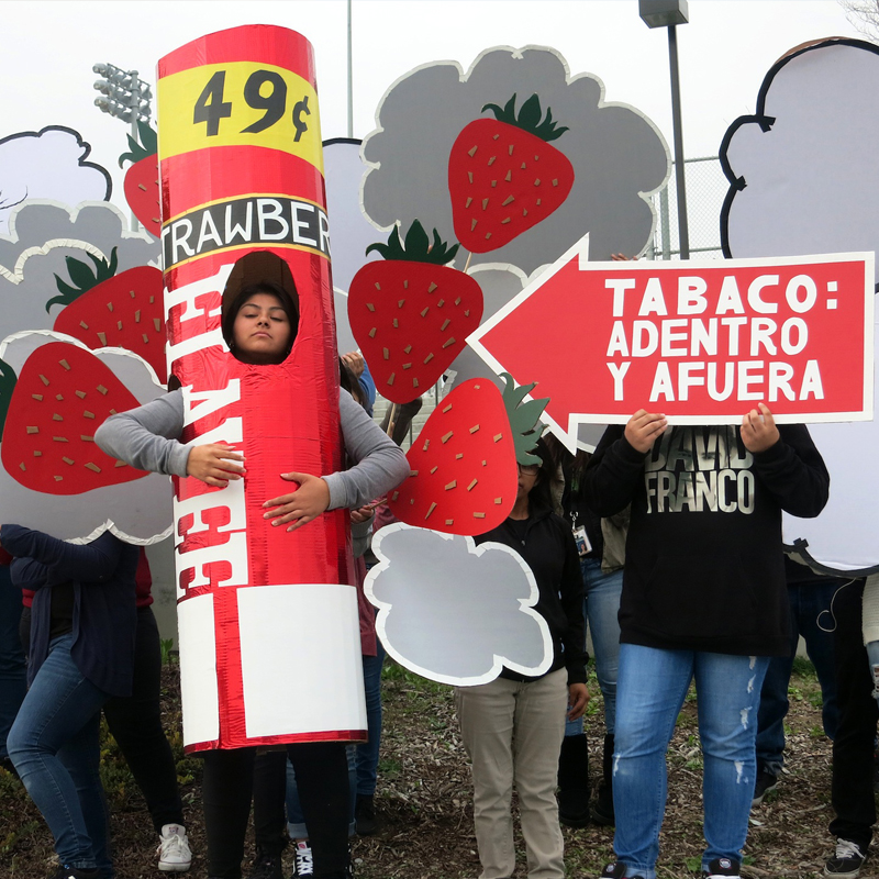 The Truth About Flavor (2014-2015)