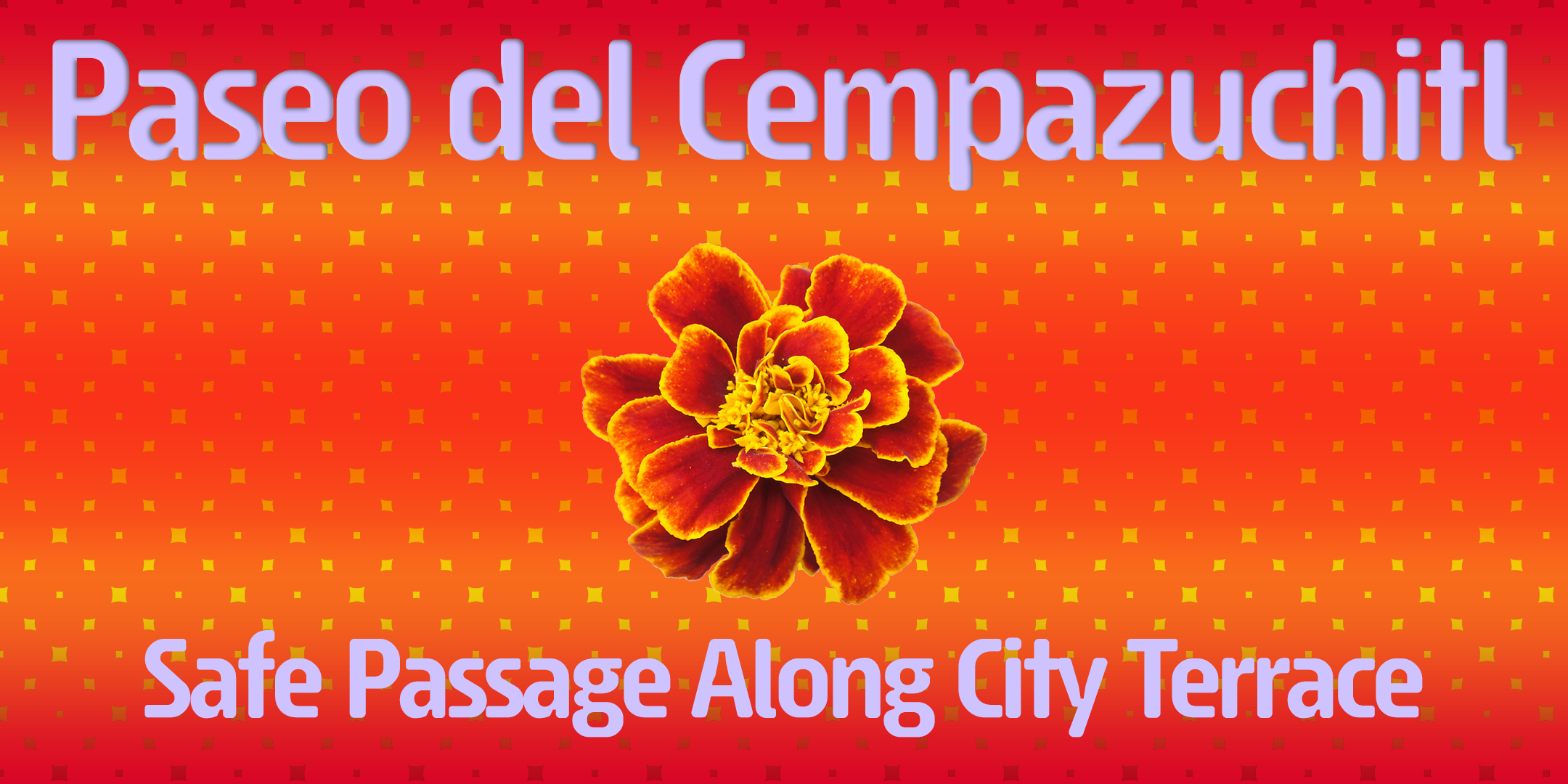 an orange marigold in an orange and yellow background